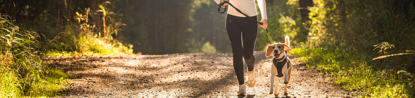 Wandelen met je hond Wandelen met je hond