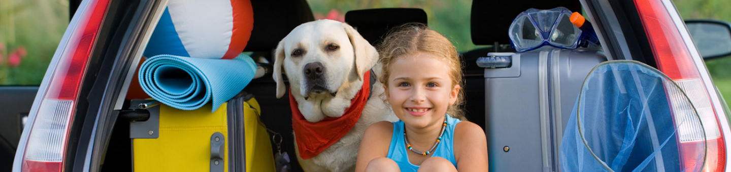 Reizen met je hond Reizen met je hond
