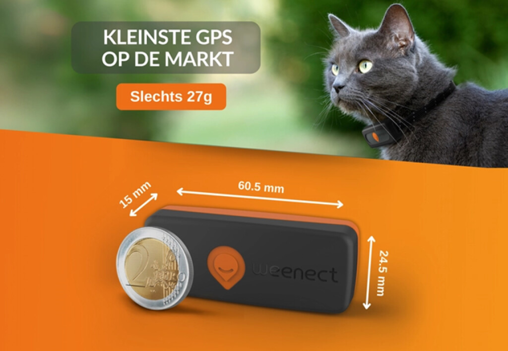 Traceur GPS Chat Noir Traceur GPS Chat Noir