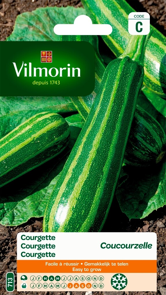 Courgette Coucourzelle