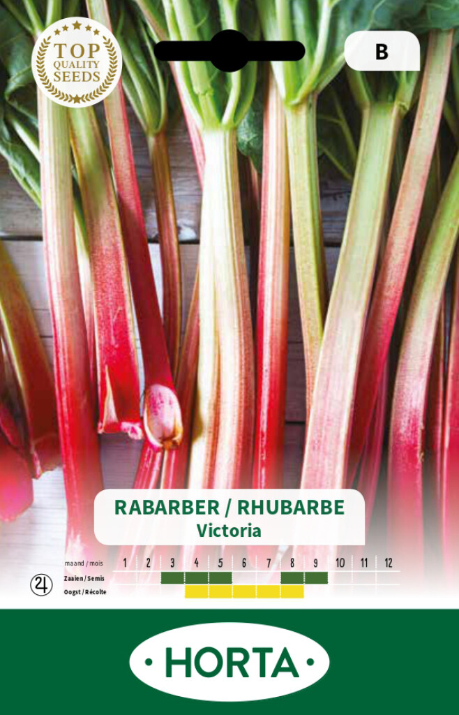 Rabarber Victoria