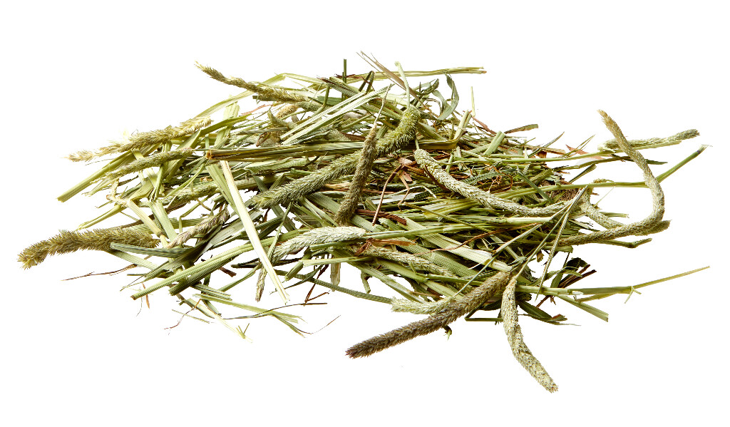 Timothy Hay 1kg Timothy Hay 1kg