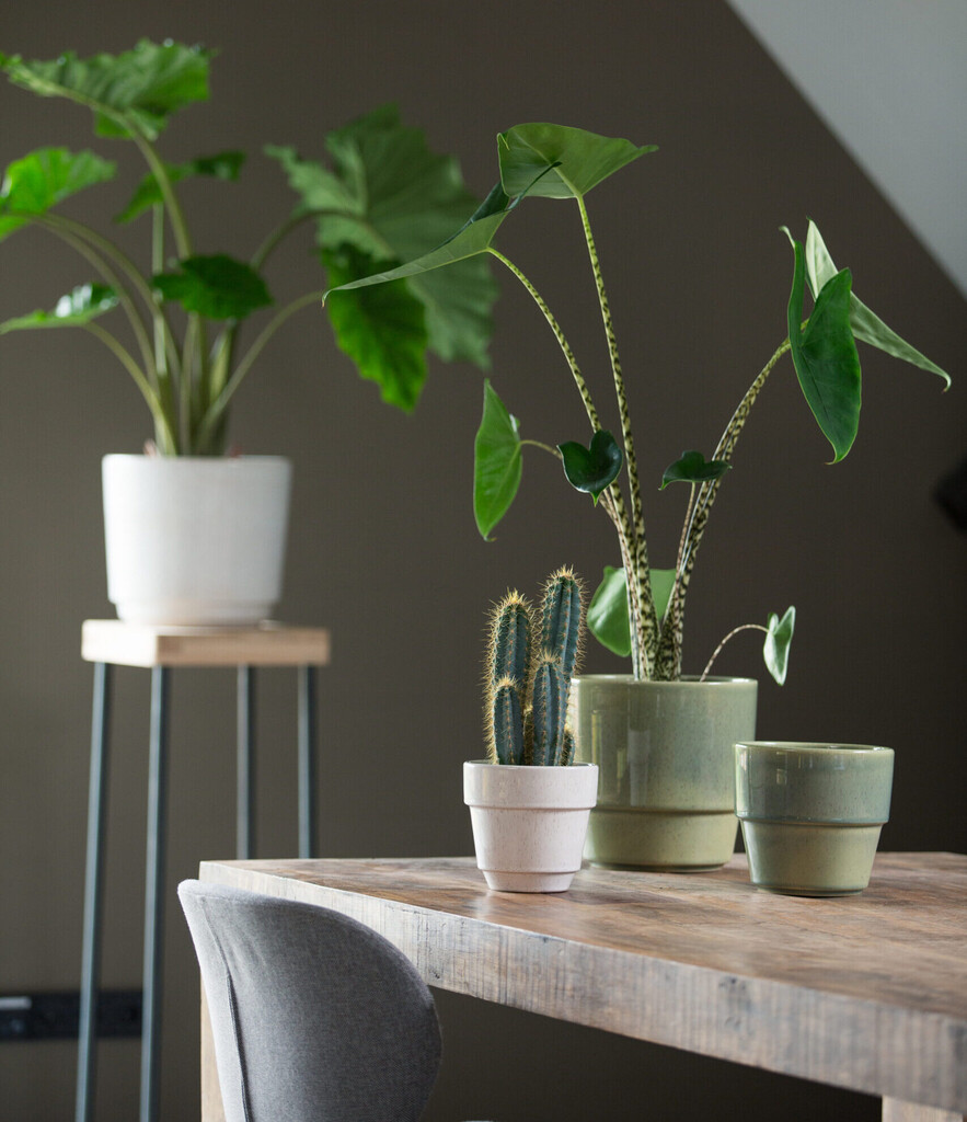 Cera pot Reactive Green 15cm