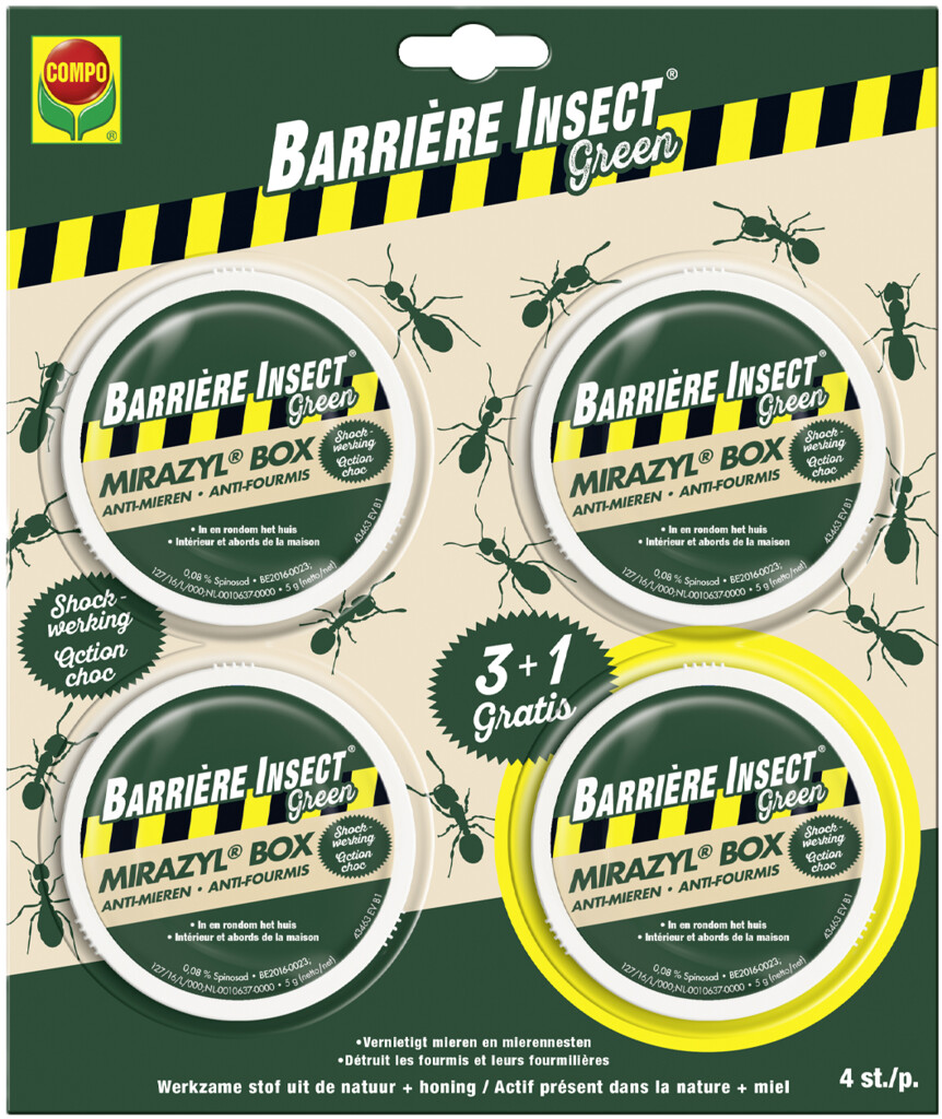 Mirazyl Box boîtes à fourmis 3+1 gratuit (4 pcs)