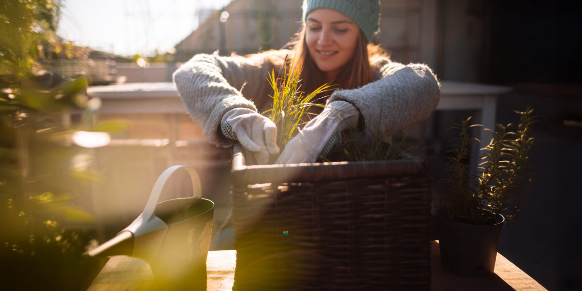 Wat te doen in de tuin : december