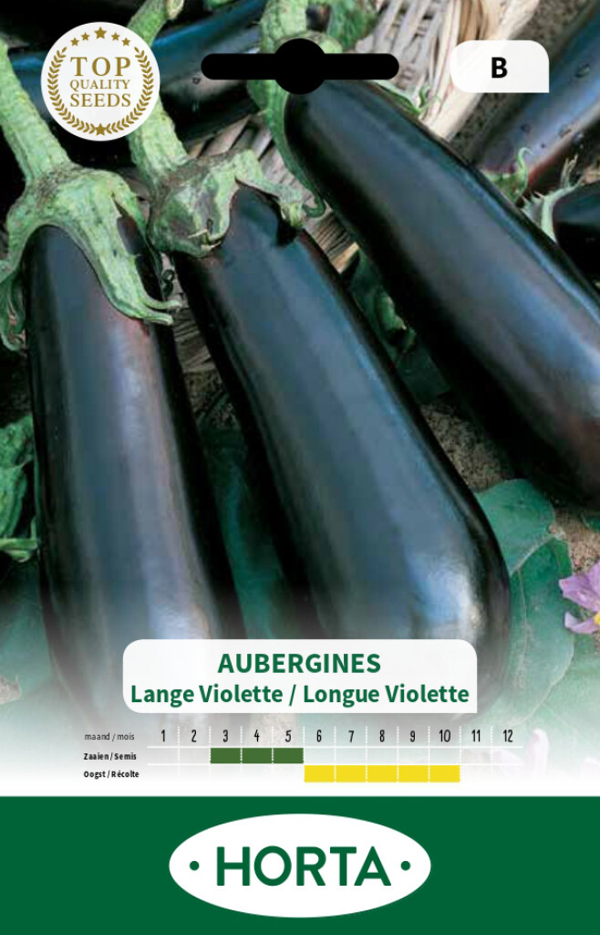 Aubergine longue Violette Aubergine longue Violette