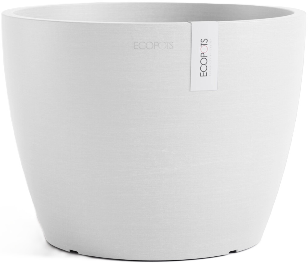 Stockholm 31 Pure White