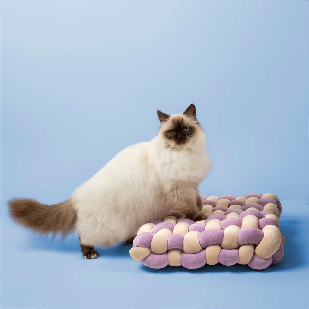 Velvet Vibe Kussen Lilac/Beige