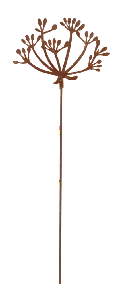 Piquet de jardin rouillé persil des vaches