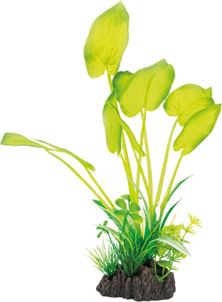 Art Plant 25cm Echinodorus Art Plant 25cm Echinodorus