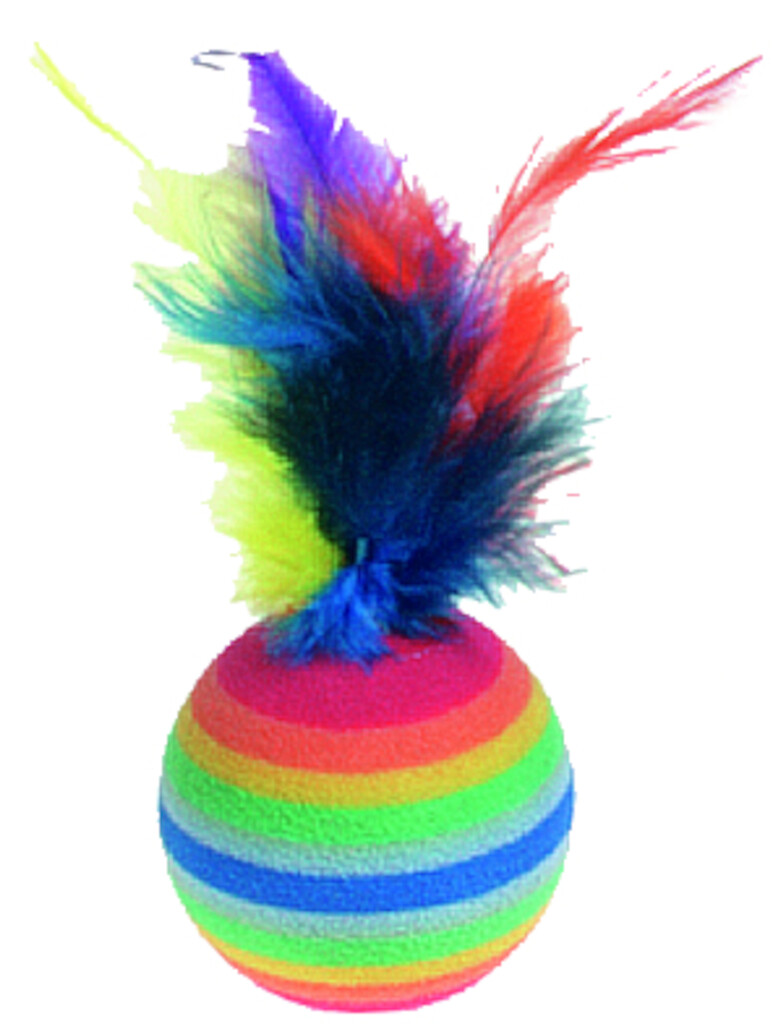 4 Ballon Rainbow + plume