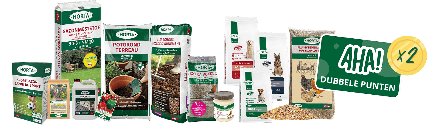 Horta producten : dubbele puntent